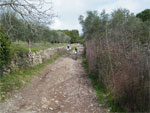 gal/2010/03 - La Via delle Miniere 2010/Al podere Quato/_thb_DSCF0711-01.jpg